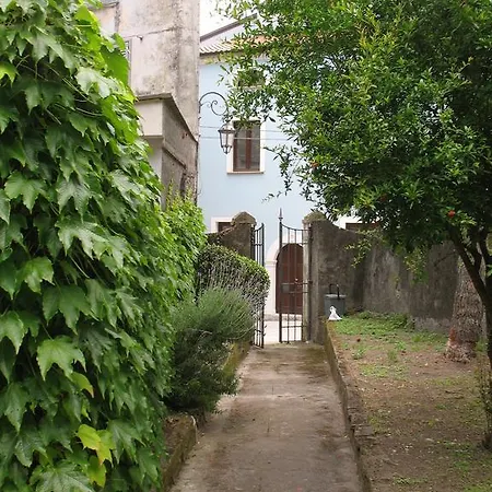 Rachele Maratea
